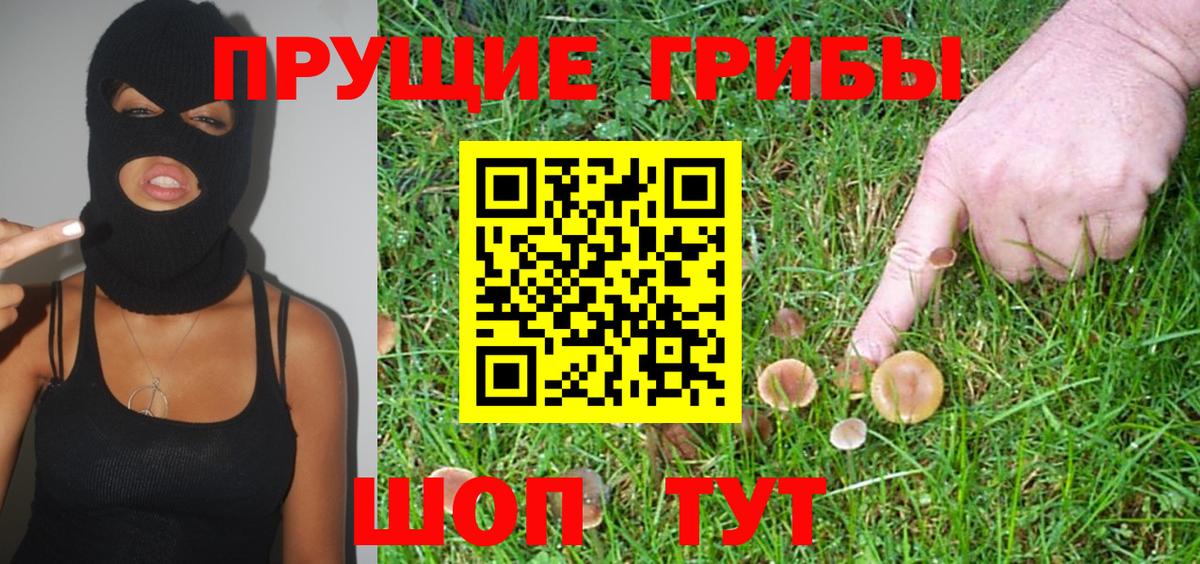 Галлюциногенные грибы Psilocybine cubensis Татарск
