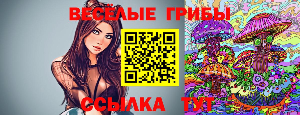 Псилоцибиновые грибы GOLDEN TEACHER  Вход с VPN  Татарск 